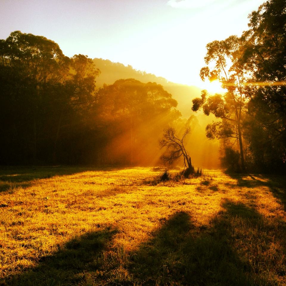 Kundalini Yoga - Sunny Field