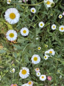 <strong>Happy Spring Equinox!</strong>